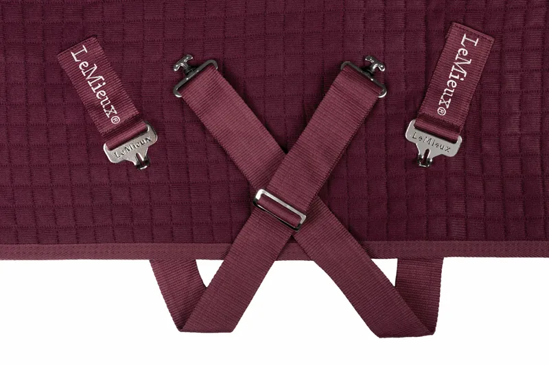 LeMieux Arika Clima-Tek Rug in Burgundy-4